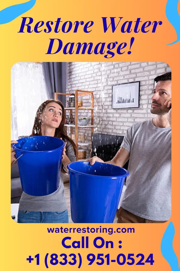 water restoration Sentinel Water Damage Masters Emerald