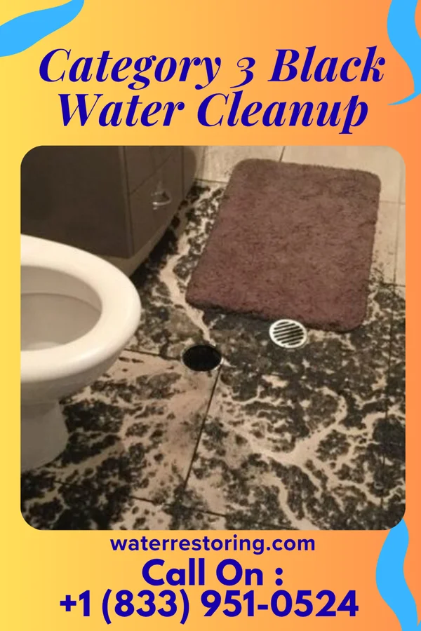 Category 3 Black Water Cleanup in Emerald, WI