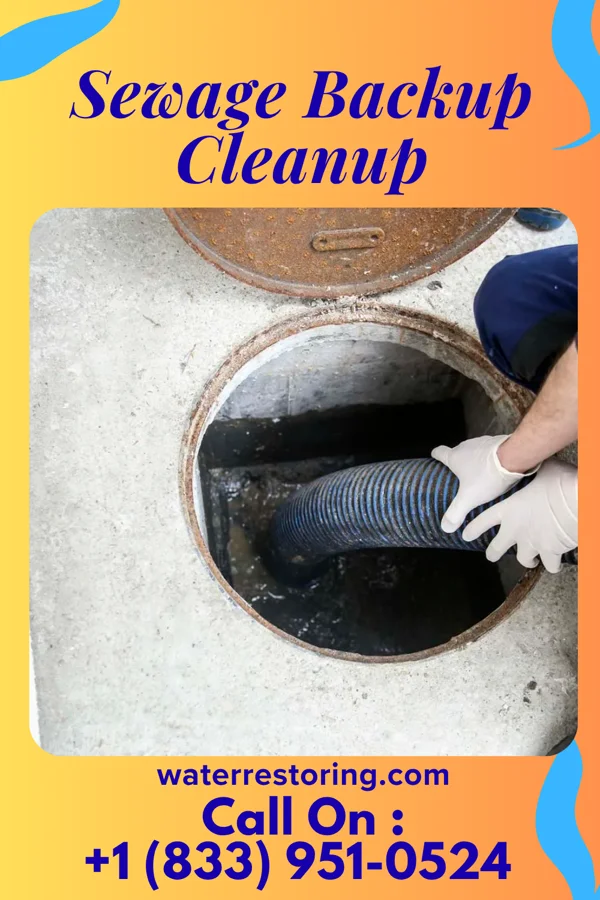 Sewage Backup Cleanup in Emerald, WI